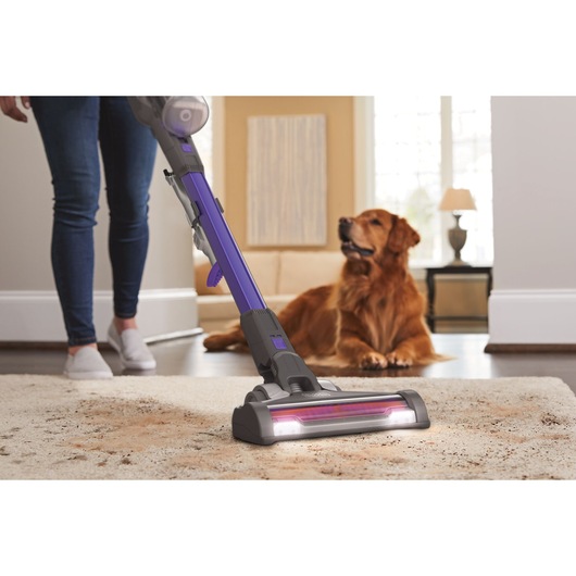 POWERSERIES Extreme Pet Cordless Stick Vacuum Cleaner being used to pick up dog mess from floor rug.