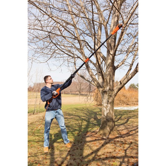 6.5 AMP 9 and half foot Pole Saw being used by a person on a tree branch.